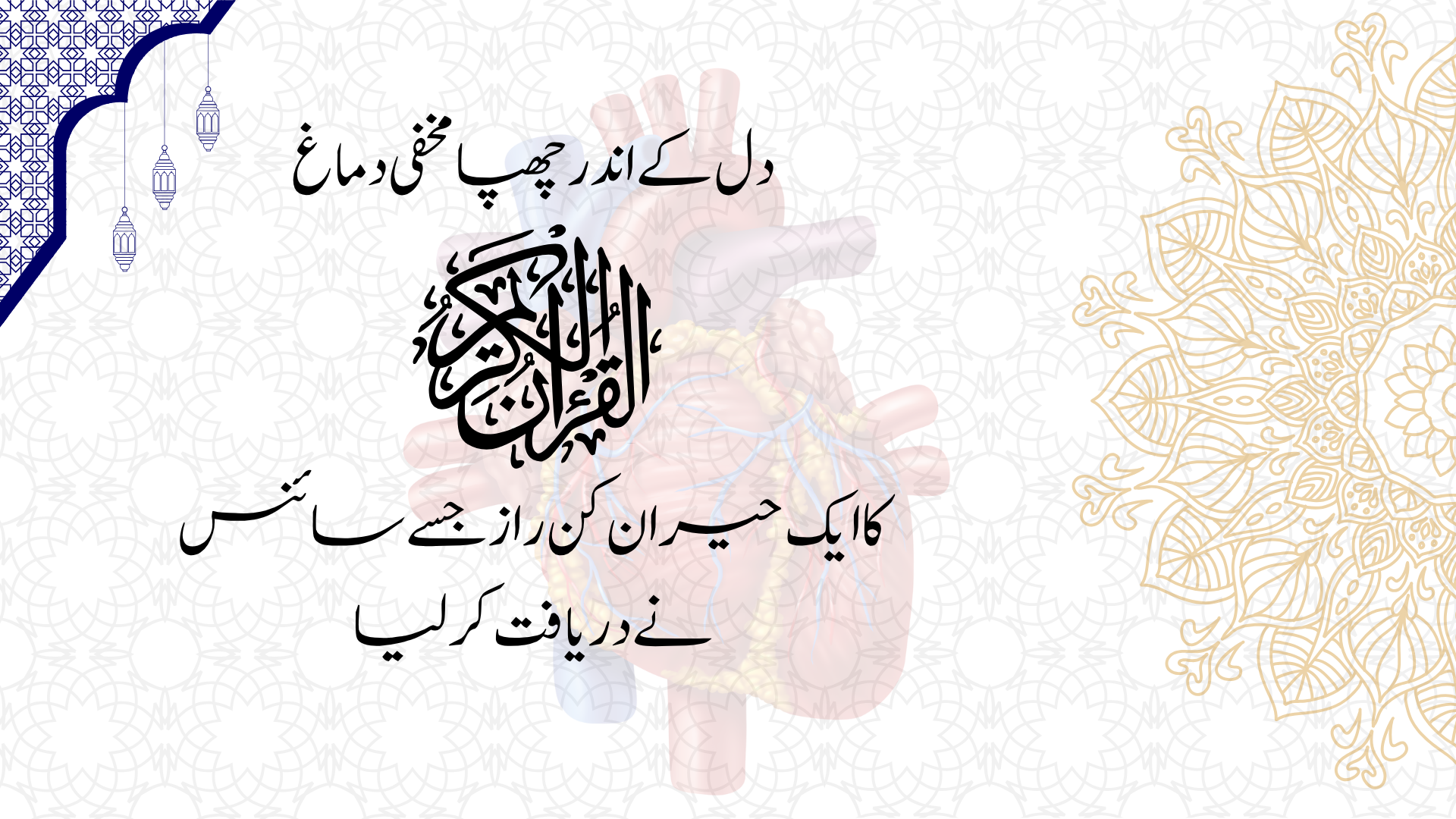 دل کے اندر چھپا مخفی دماغ قرآن کا ایک حیران کن راز جسے سائنس نے دریافت کرلیا